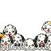 dinamic dalmation