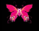 pink butterfly
