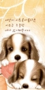 puppy love
