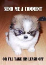 grr...