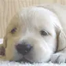 so cute