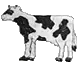 cow