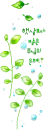 branch of a tree