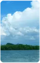 desert island