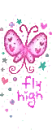  	buttefly