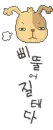 angry dog