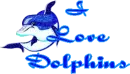 I Love Dolphins