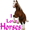 I Love Horses