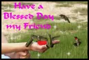 Have a Blessed Day my Friend