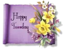 Happy Tuesday