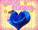 love rose flower