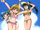 mermaid melody