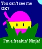 You cant see Me