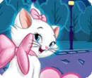kitty Marie