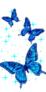 blue butterflys