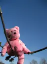 TURN ME PINK