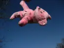 TURN ME PINK