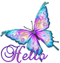 Hello moobutterfly