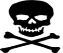 Morgan - skull