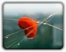 cute heart