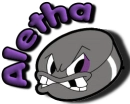 ALETHA-hockeypuck