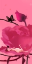 LOVELY ROSE