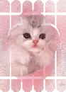kitty pink