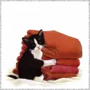 red towel