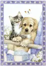 friends