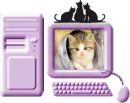 PC kitty
