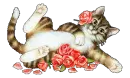 roses
