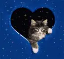 in heart