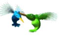 Tailoring Bird