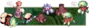 Turtles