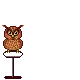 harry potter's bird 2