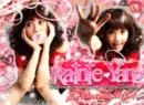 rainei yang