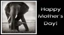 Happy Mother's Day