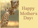 Happy Mother's Day