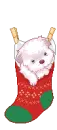 puppy in stocking