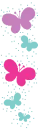 butterflys
