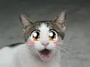 kawaii cat