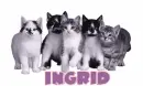 Ingrid