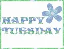 Happy Tuesday