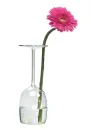 Pink Flower