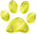dog paw