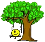tree swing