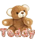 Teddy