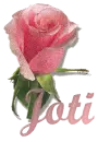 Rose with Name