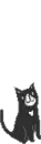 black kitty