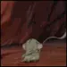 The Lion King